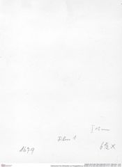 Historisches Foto (Rückseite) von Paragalathea sp. (NHMW-AFW-GEO-BACHMAYER-FOTO-1990-0041-1679)